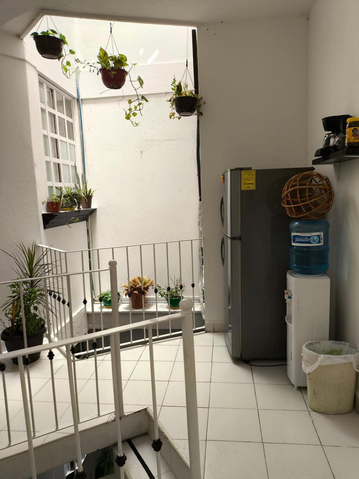 Hotel Casa Luna Palenque Eksteriør bilde