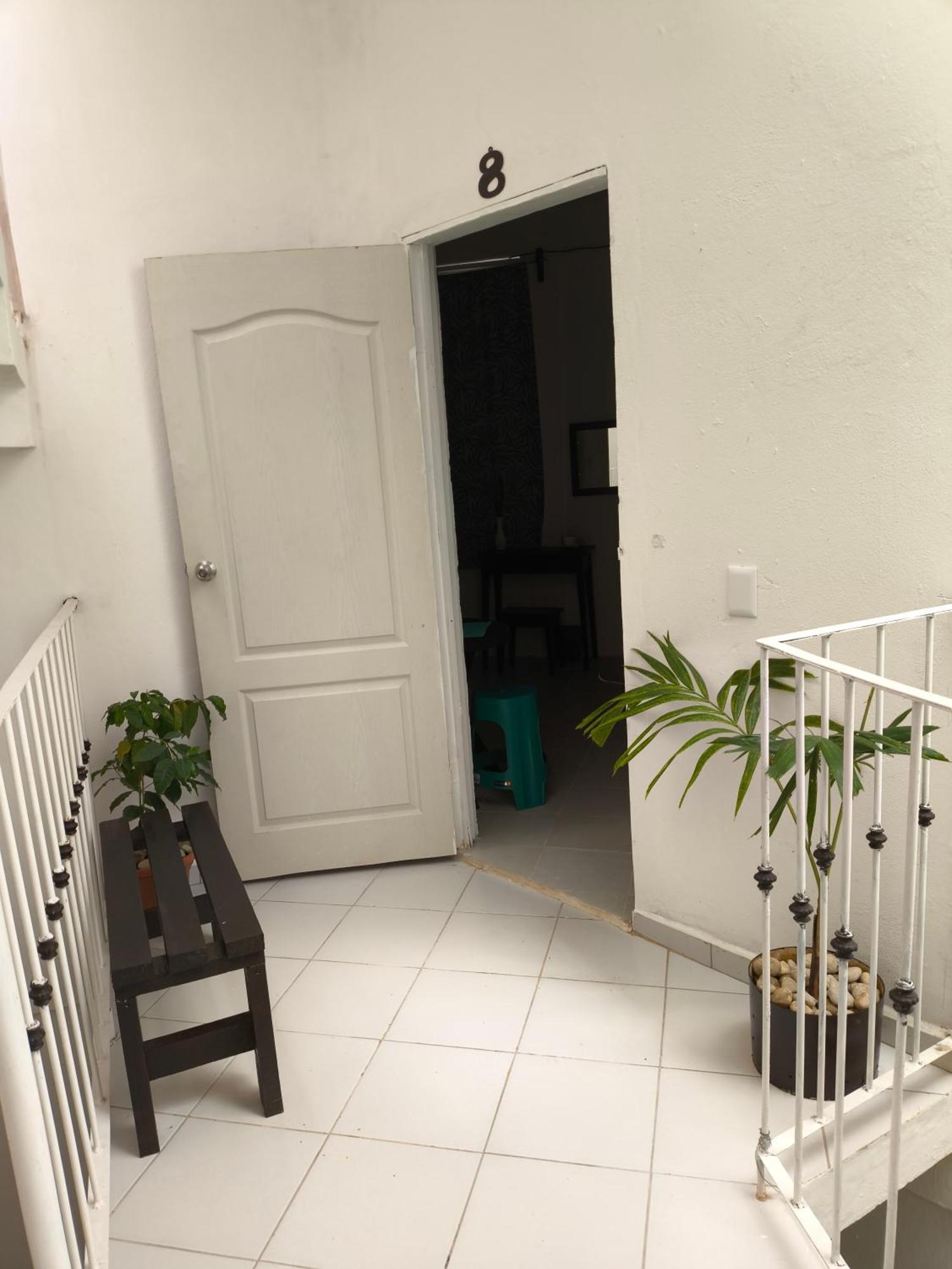 Hotel Casa Luna Palenque Eksteriør bilde